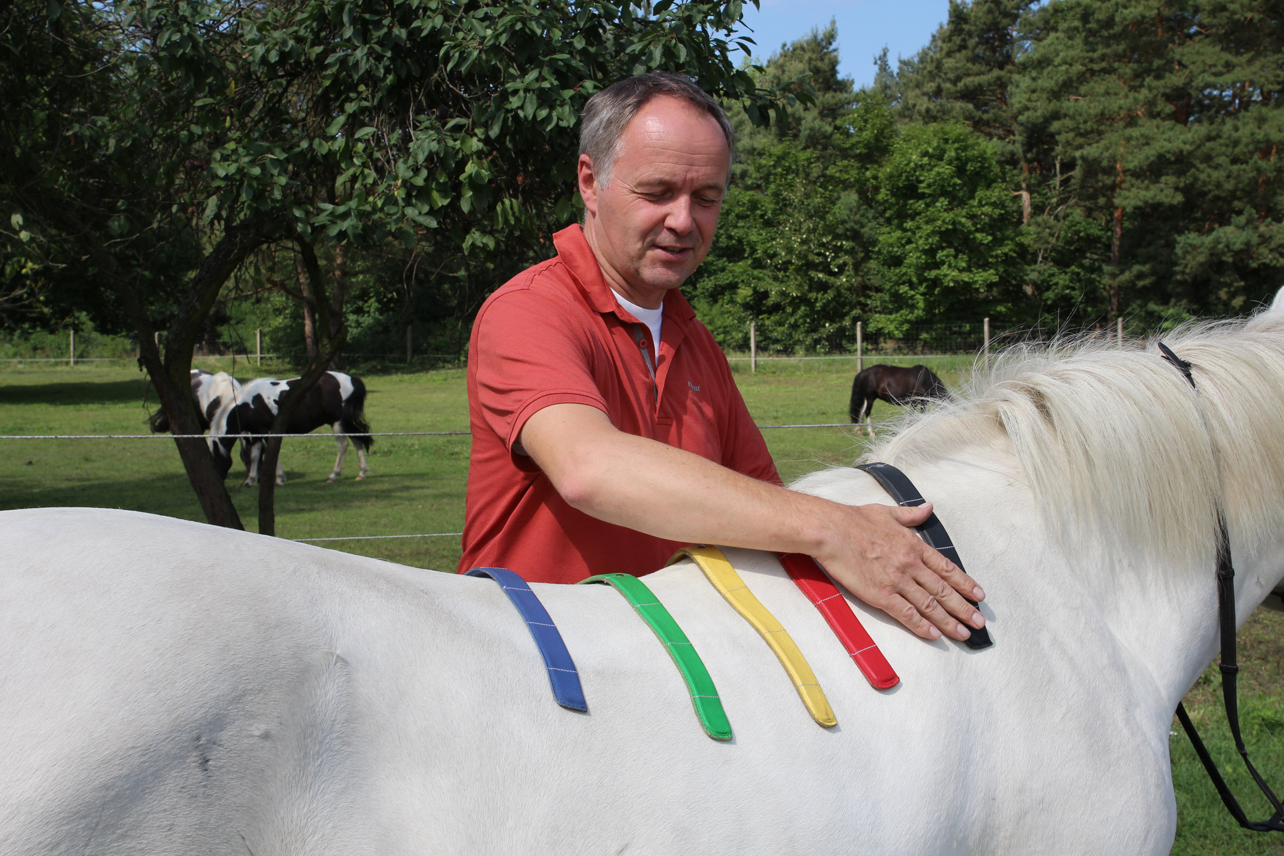 Jetzt Satteltermin vereinbaren 